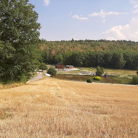 Residenz Moselstausee ซังก์อัลเดอกุนด์ ภายนอก รูปภาพ