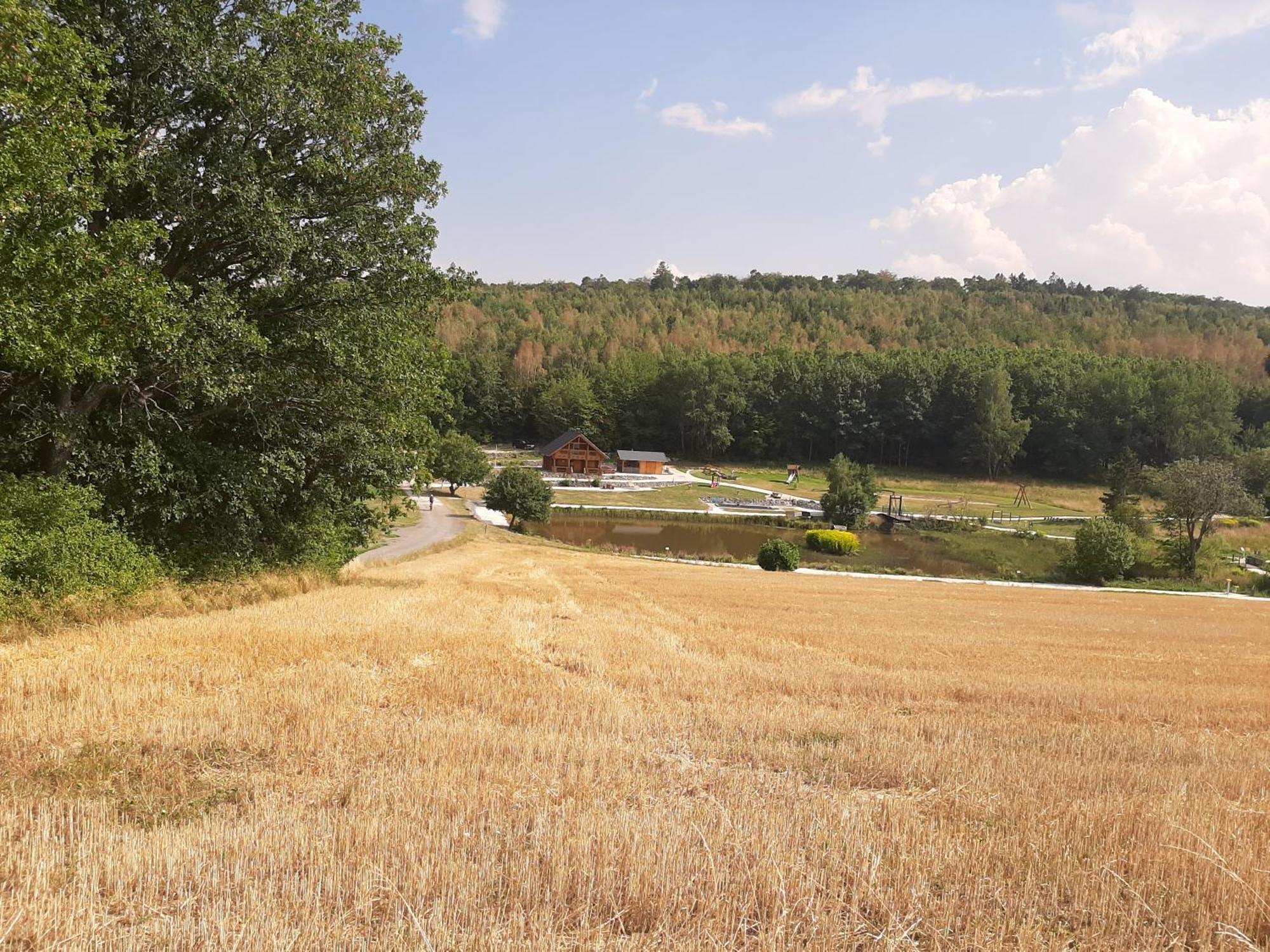 Residenz Moselstausee ซังก์อัลเดอกุนด์ ภายนอก รูปภาพ