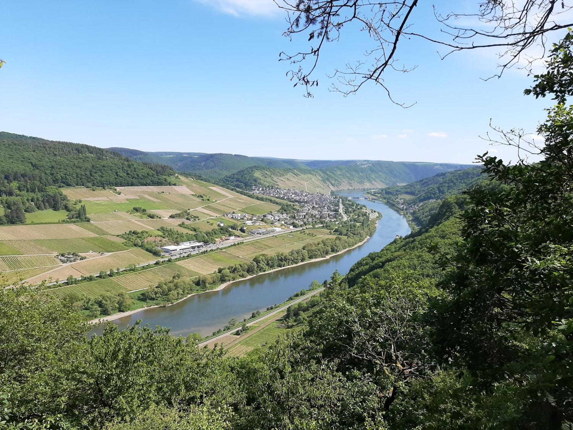 Residenz Moselstausee ซังก์อัลเดอกุนด์ ภายนอก รูปภาพ