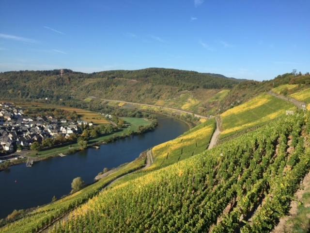 Residenz Moselstausee ซังก์อัลเดอกุนด์ ภายนอก รูปภาพ