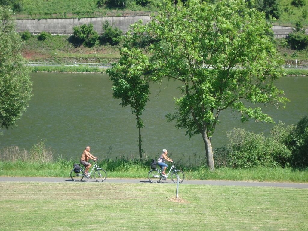 Residenz Moselstausee ซังก์อัลเดอกุนด์ ภายนอก รูปภาพ