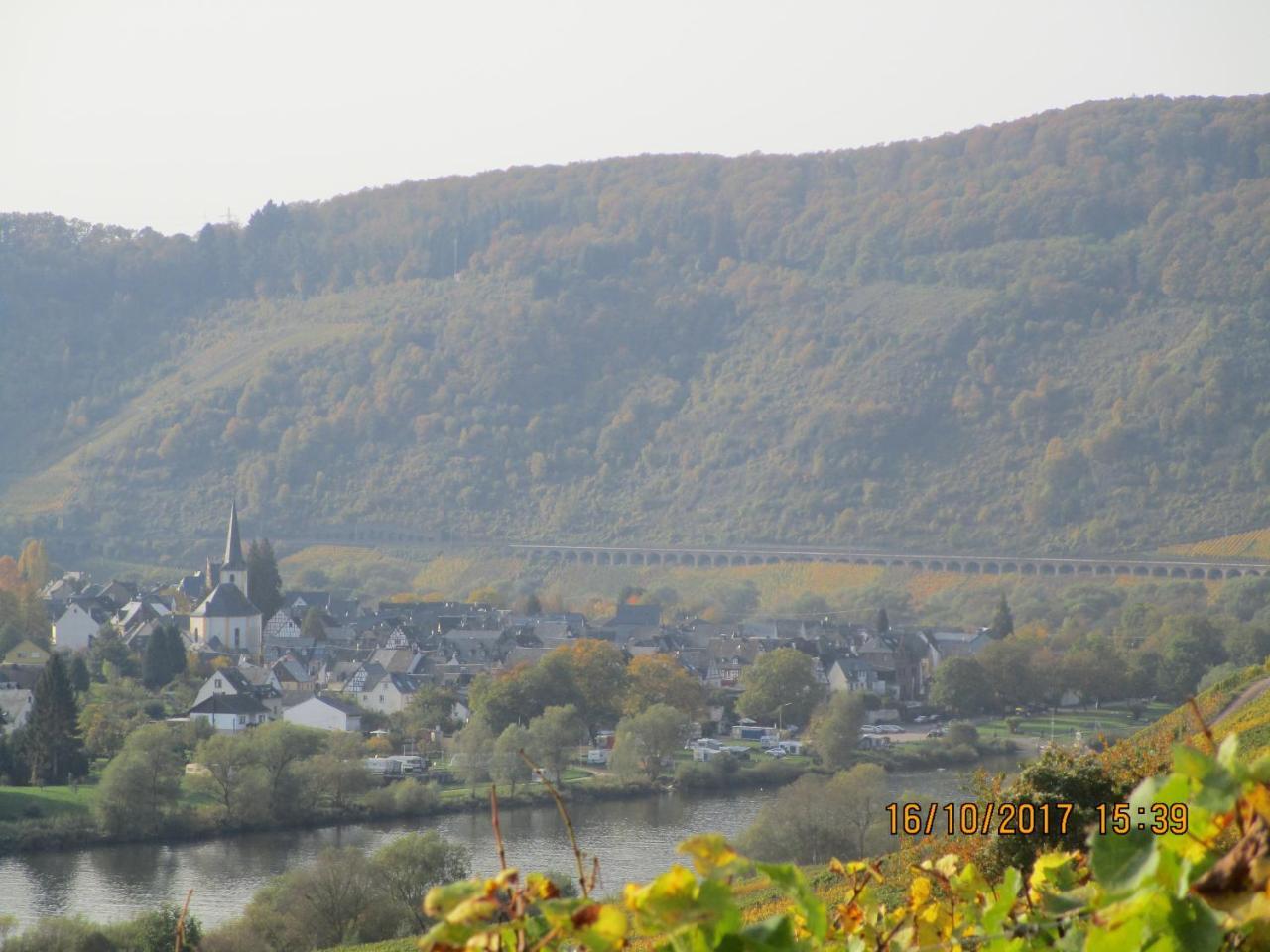 Residenz Moselstausee ซังก์อัลเดอกุนด์ ภายนอก รูปภาพ